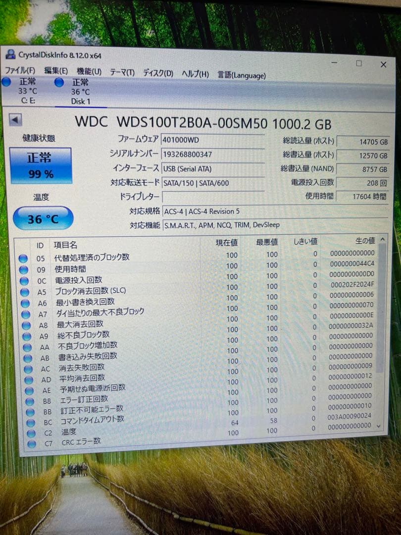 内蔵型SSD WD Blue 1TB 3D NAND SATA SSD