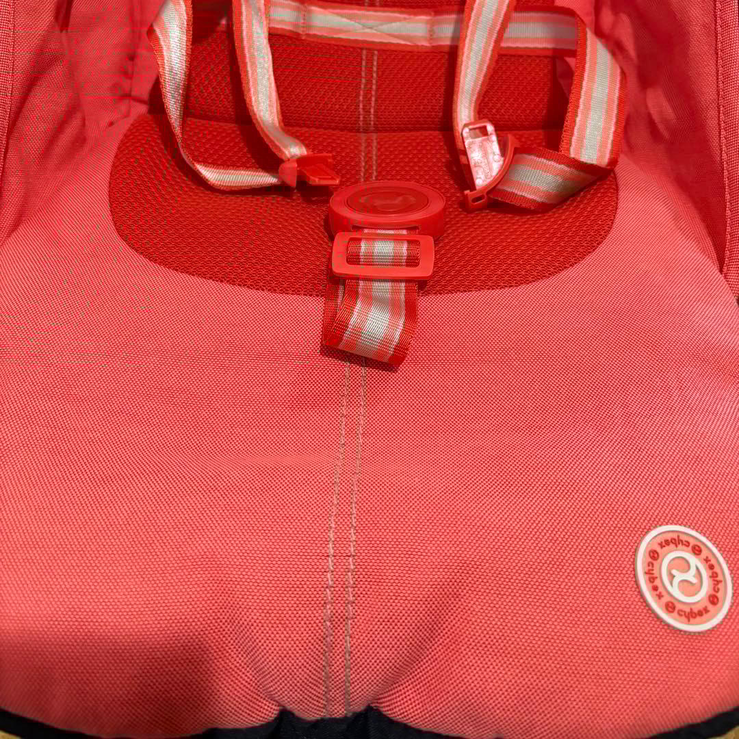 サイベックス　リベル　ハイビスカスレッド