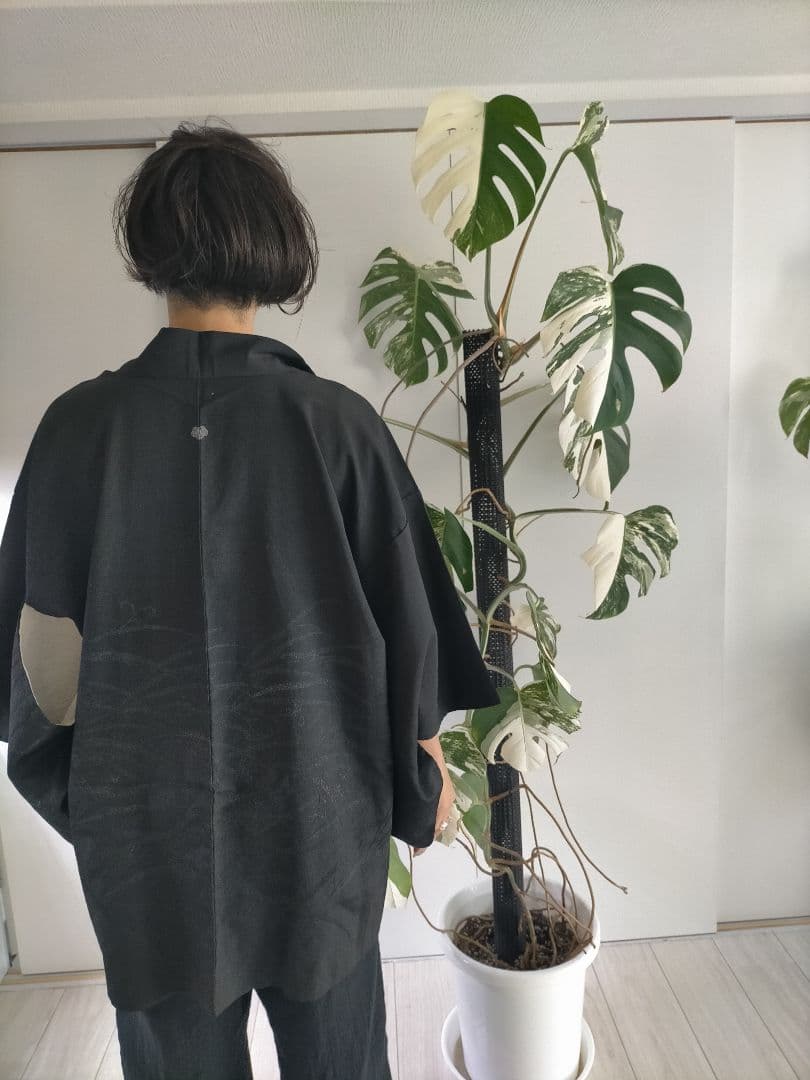 斑入りモンステラ 大きいサイズ16枚の葉