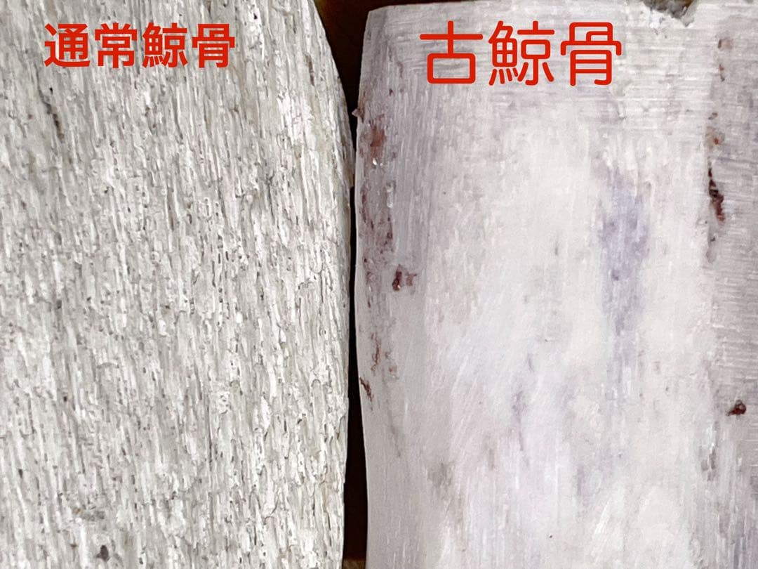 天然古鯨骨リング　（29号)