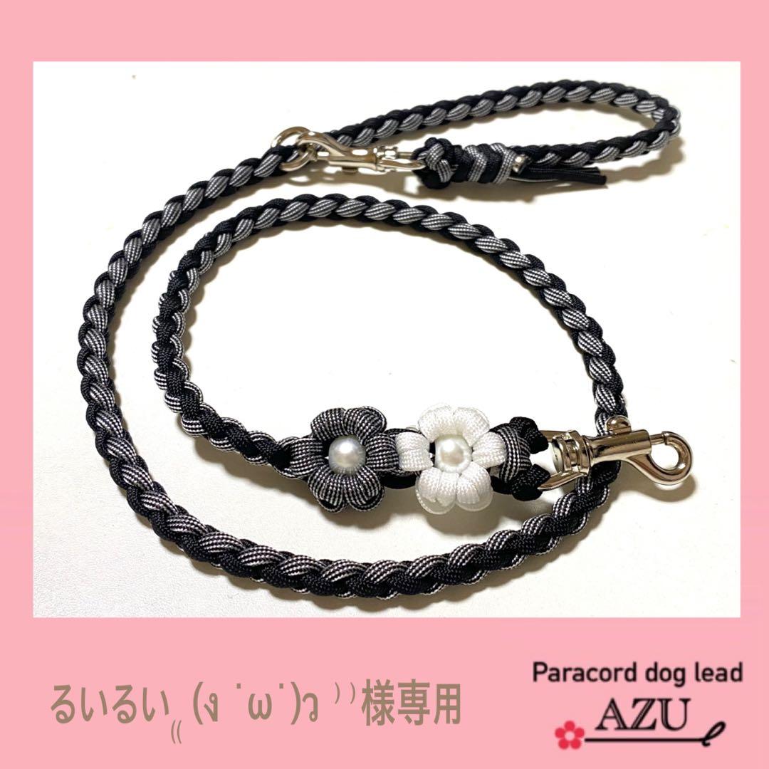 るいるい₍₍ (ง ˙ω˙)ว ⁾⁾ ☆ ショートリード