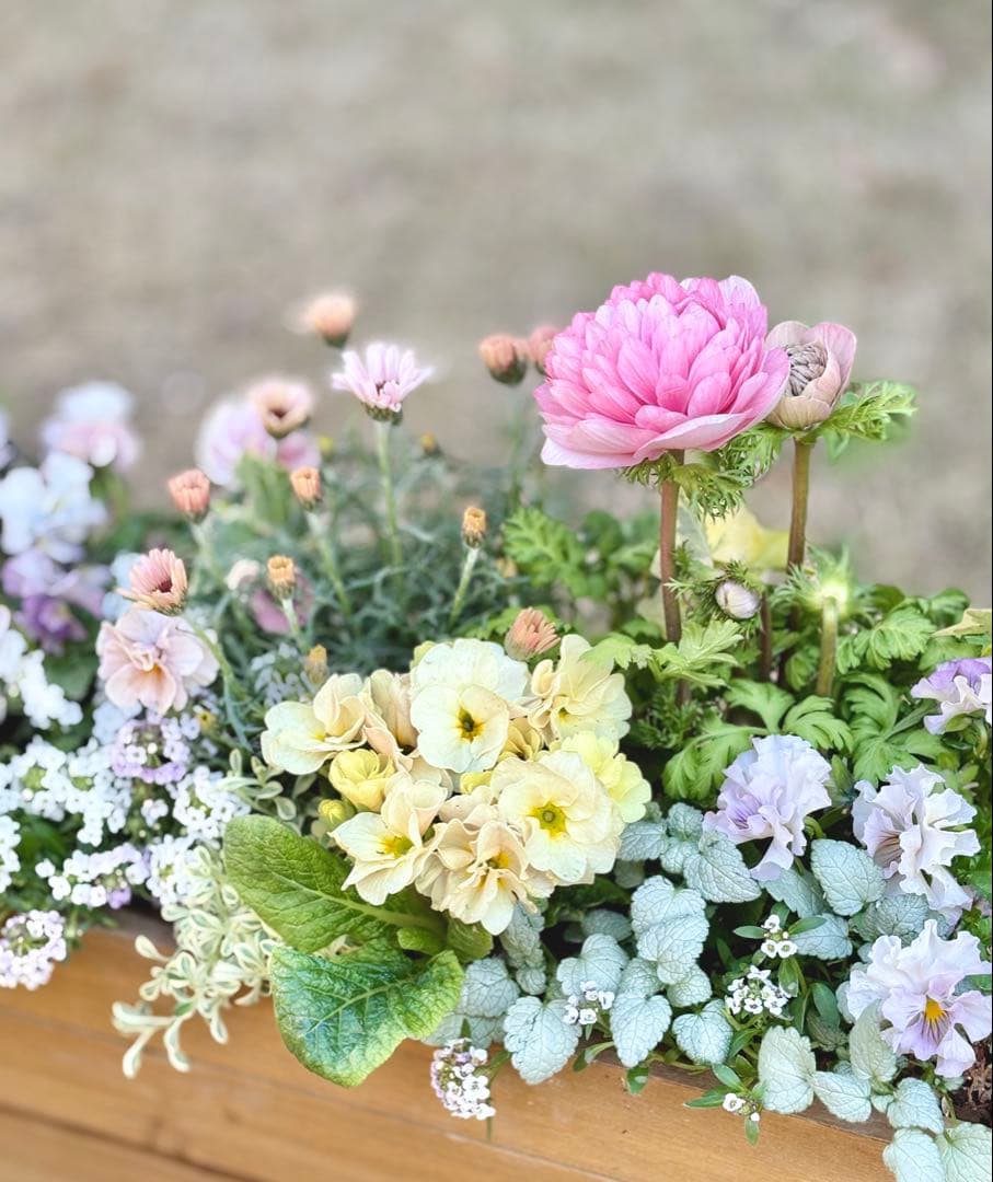 riruオーダーページ