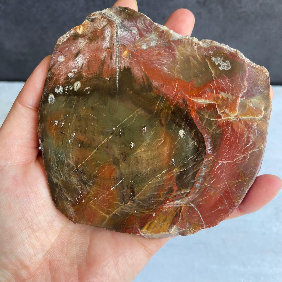 ペトリファイド ウッド スラブ プレート 珪化木 マダガスカル産