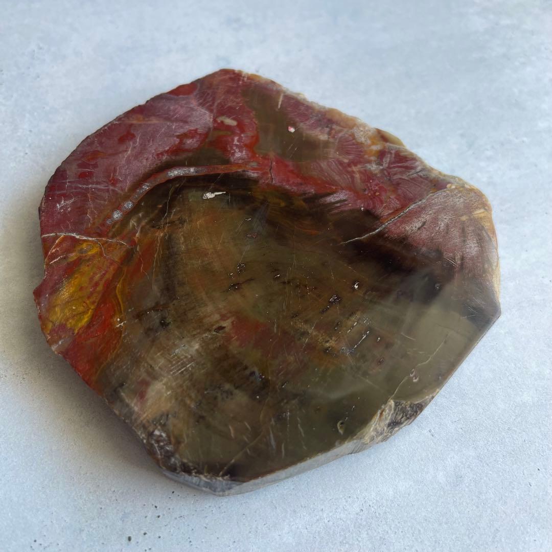 ペトリファイド ウッド スラブ プレート 珪化木 マダガスカル産