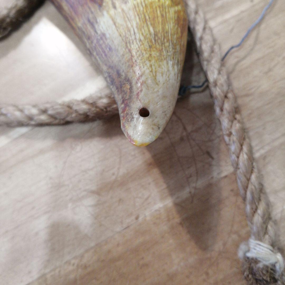 100年物鯨の歯（フィジーのタンブア）首からさげる286g