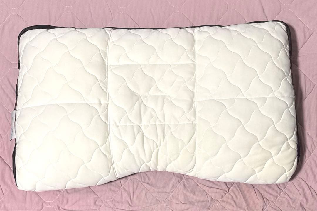 【極美品・枕カバー付き】じぶんまくら プレミアム 完売品