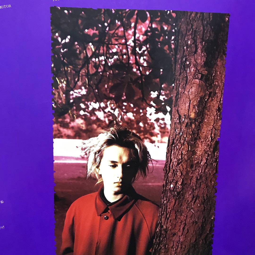 ピクチャー付き　BUCK-TICK TABOO LPレコード