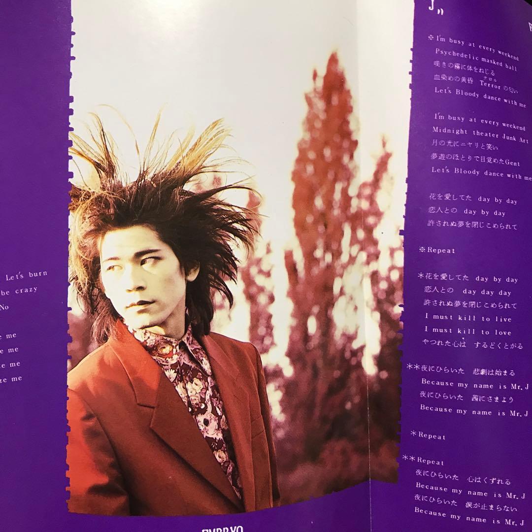 ピクチャー付き　BUCK-TICK TABOO LPレコード