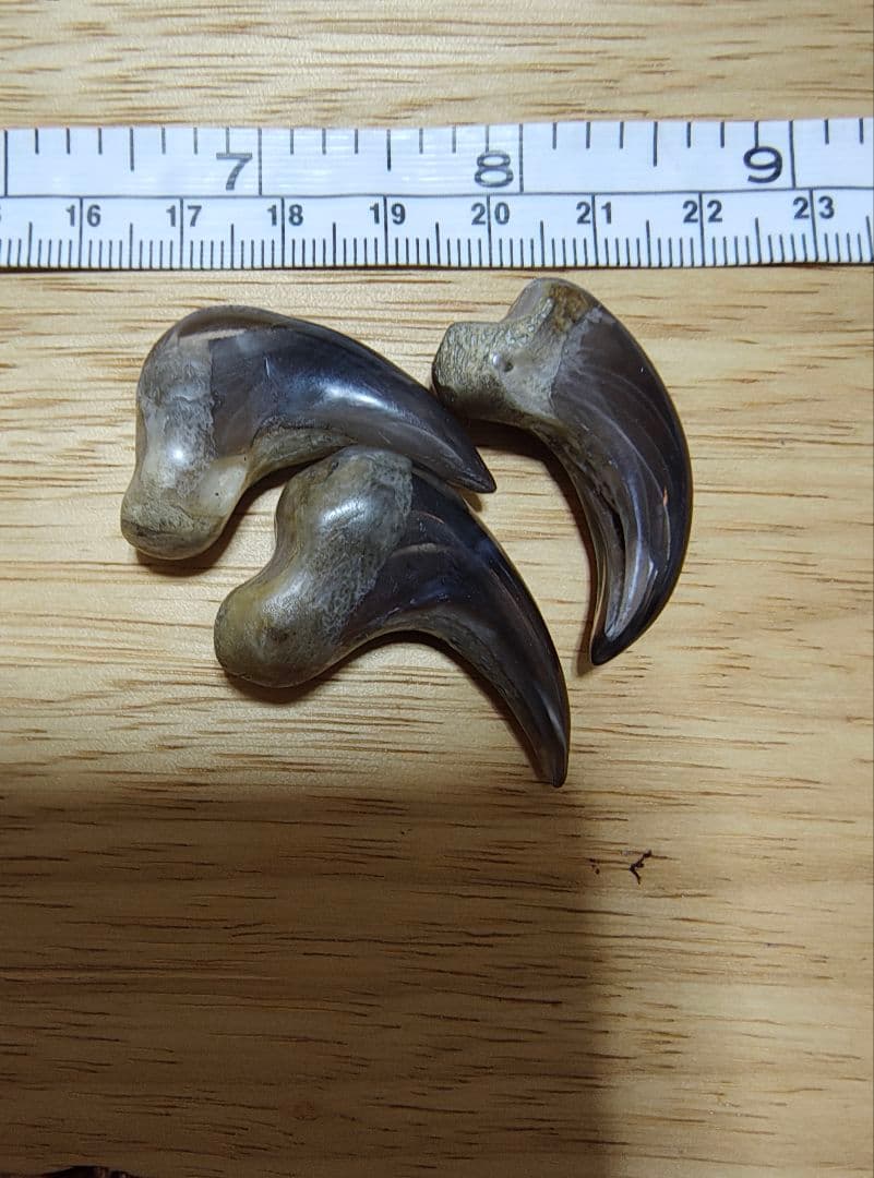 ツキノワグマ爪 魔除け 厄除け 置くだけお守り 天然素材 磨き仕上げ 個別購入可