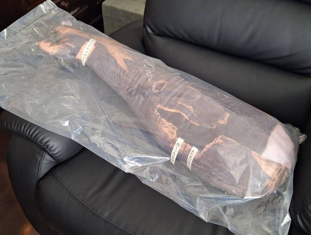 蘭奢待　クッション