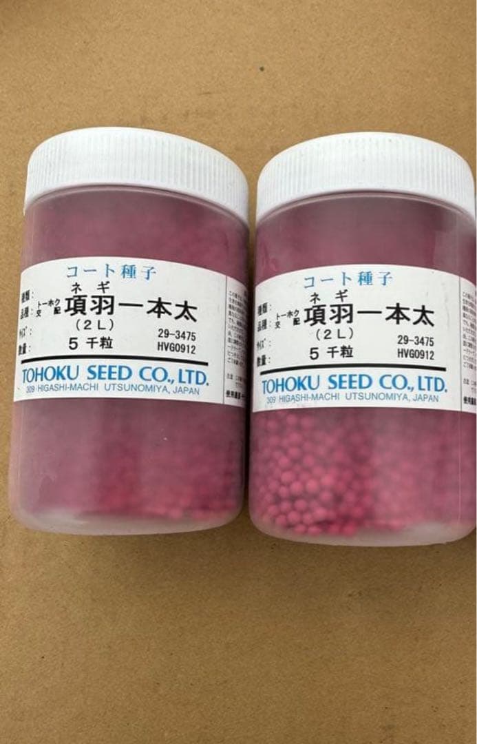 ネギ種「項羽一本太」2個　10000粒