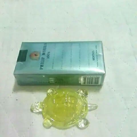 ボヘミアンガラストータス カメさん　かわいい亀 チェコ製品