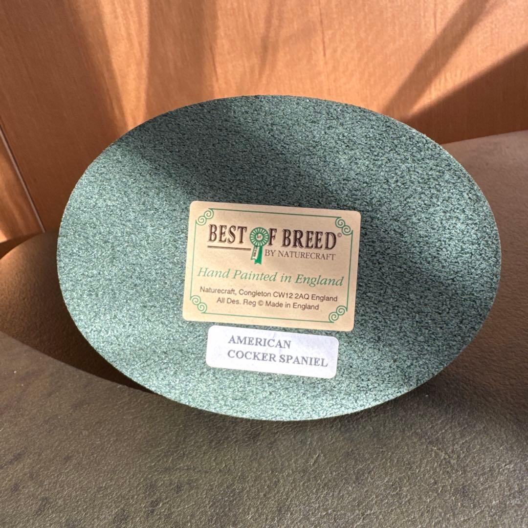 アメリカンコッカースパニエルの置物　ショードッグ　バフ