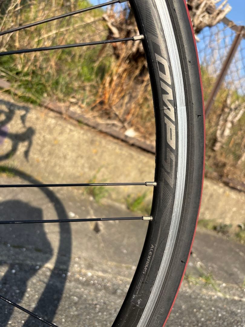 Trek domane SL5 52 リムモデル　2019年