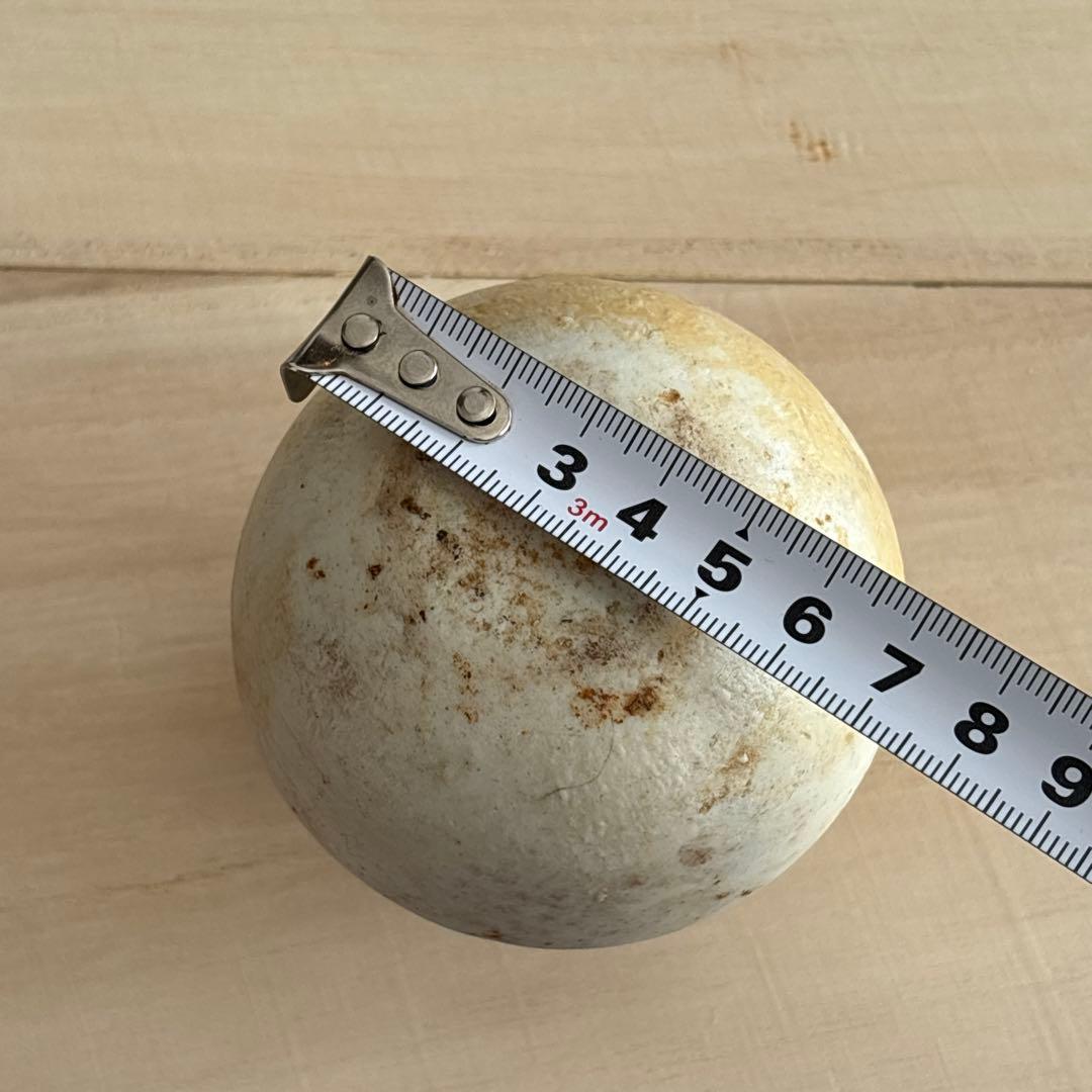 【激レア品】一輪挿し　アンティーク