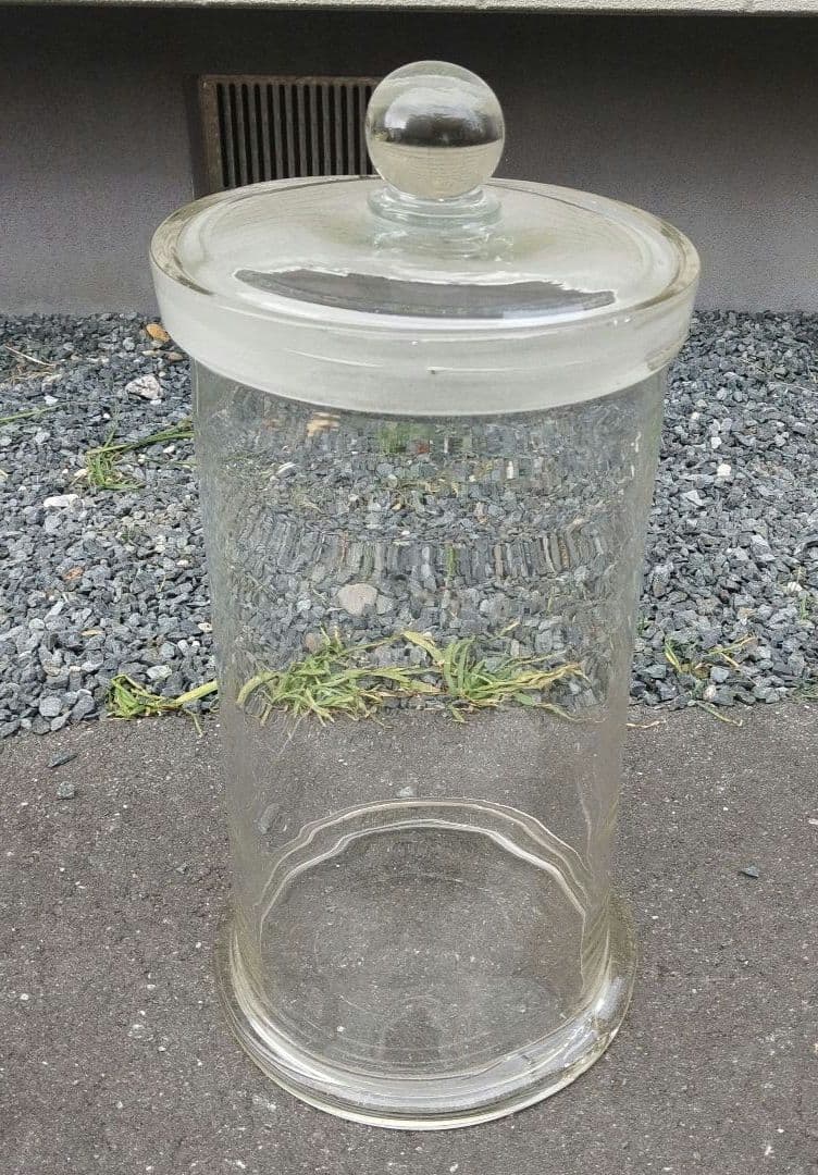 標本瓶 蓋付 ガラス瓶 約27×49H cm 保存瓶 昭和レトロ カフェ