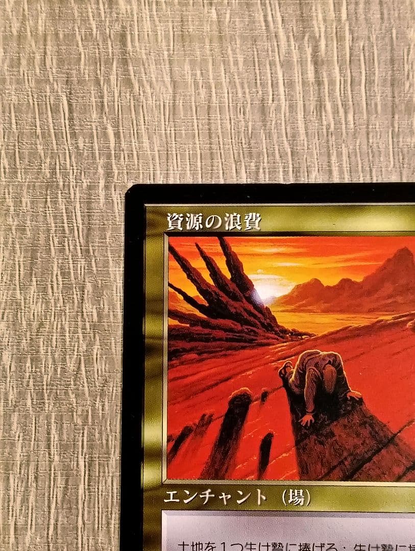 資源の浪費/Squandered Resources [VIS] 2枚セット