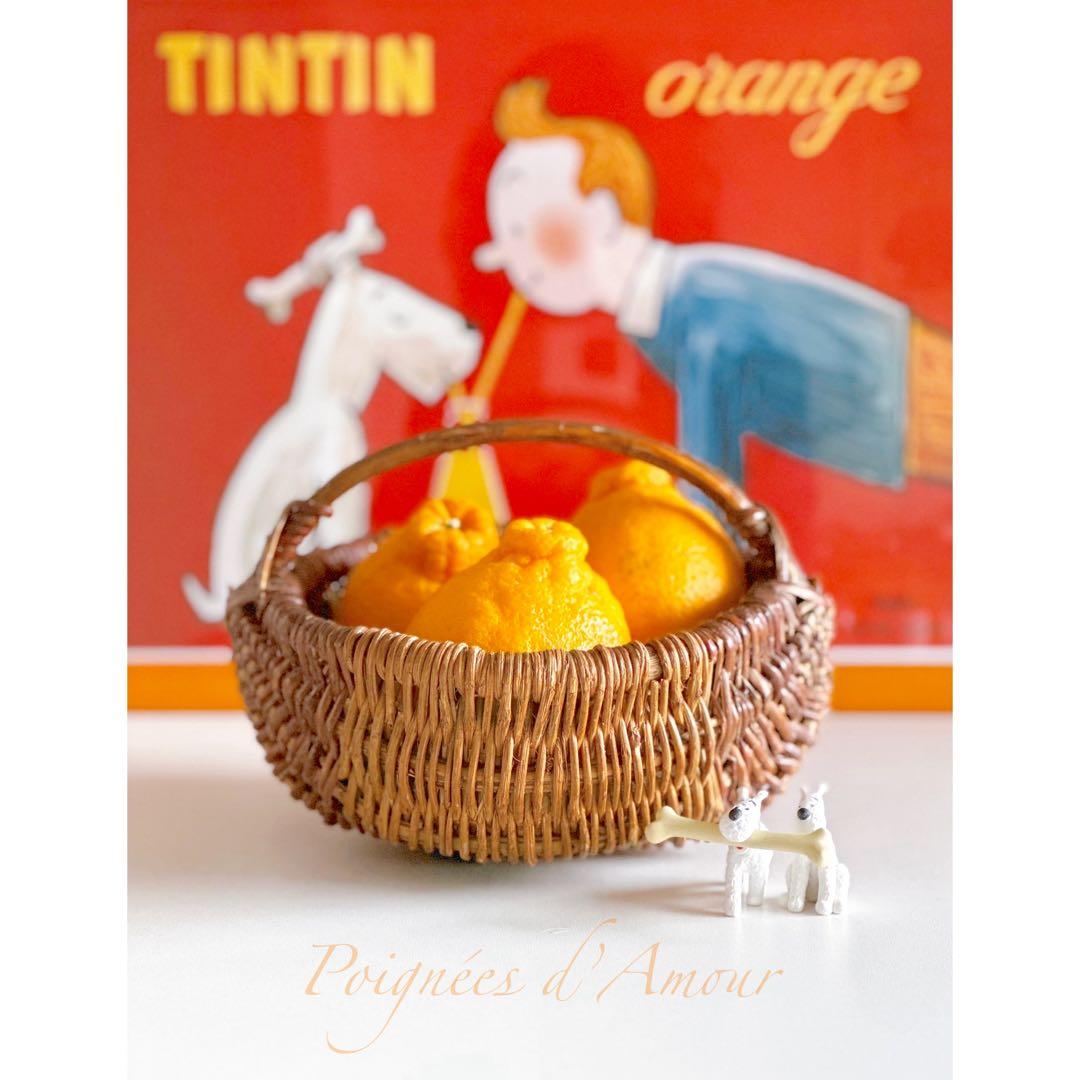 フランス アンティーク パニエ 籠 かご