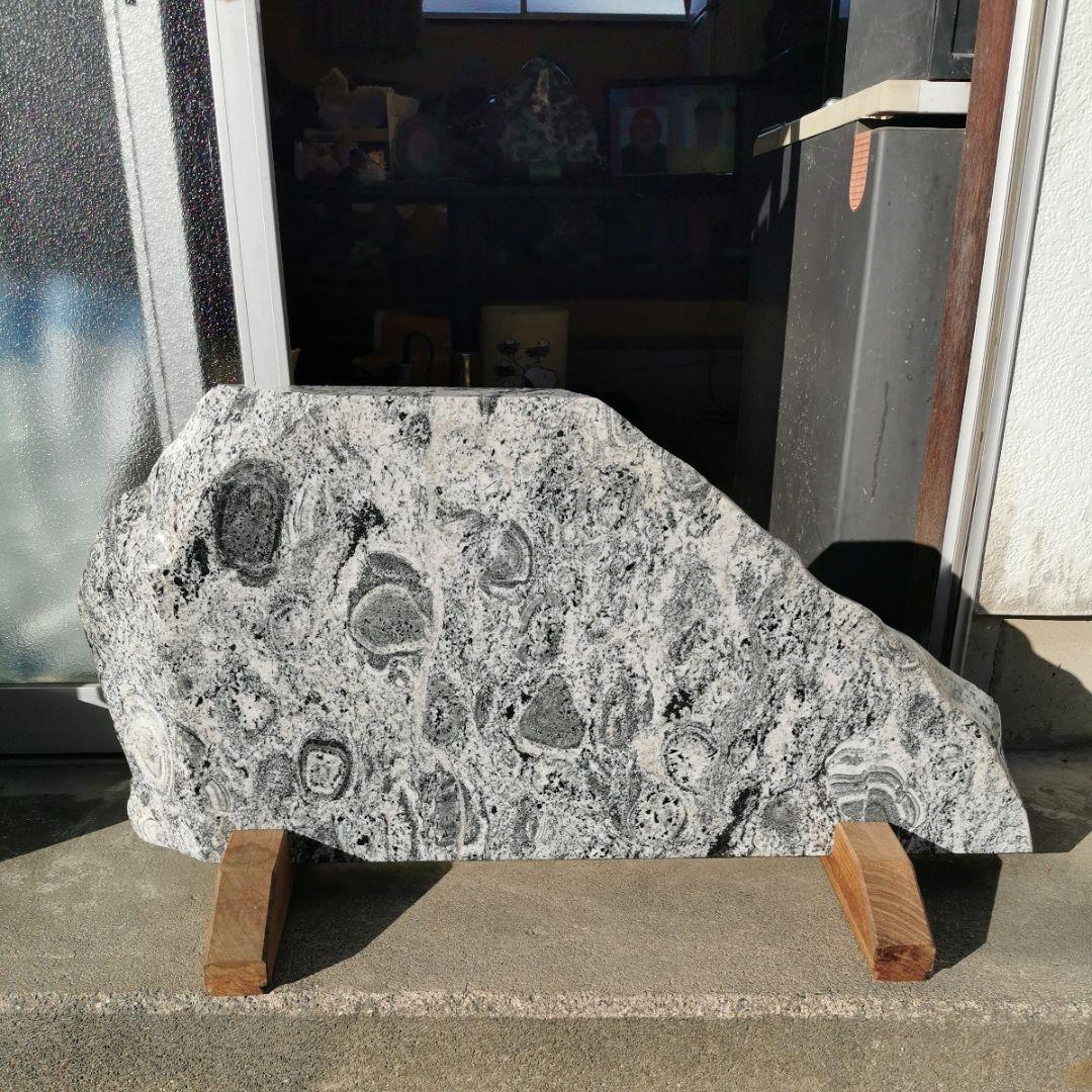 富山県　常願寺川産　ナポレオン石　42.5キロ　庭石　鑑賞石　石　置物　オブジェ