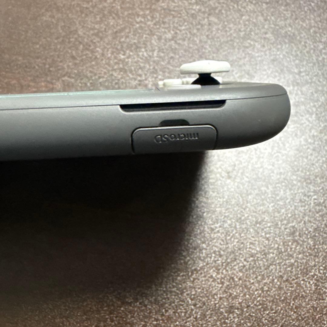 Nintendo Switch Lite グレー 本体のみ、おまけ付き