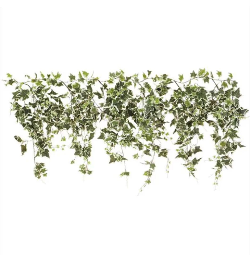 グリーンシダレガーランド フェイクグリーン オランダアイビー