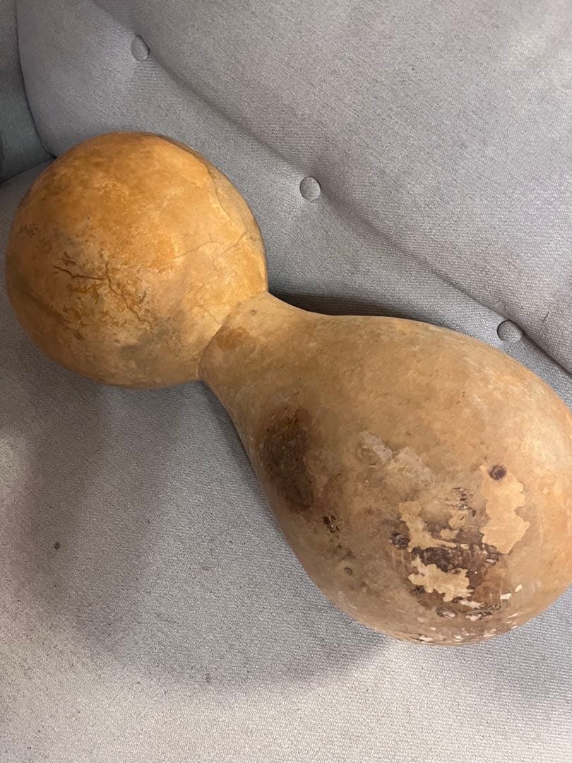 イプヘケ　艶なし　50cm 新品　ハワイ直輸入