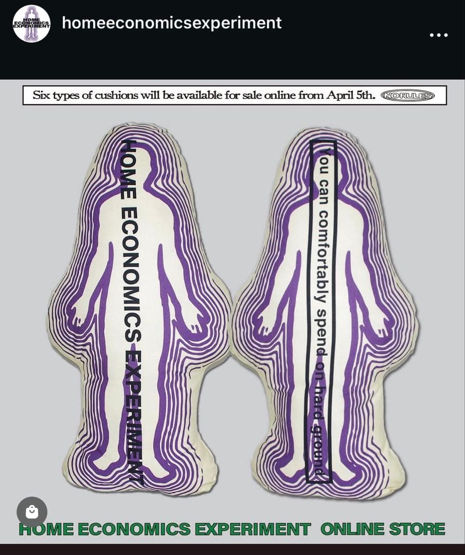  ECONOMICS EXPERIMENT クッション HEE レア