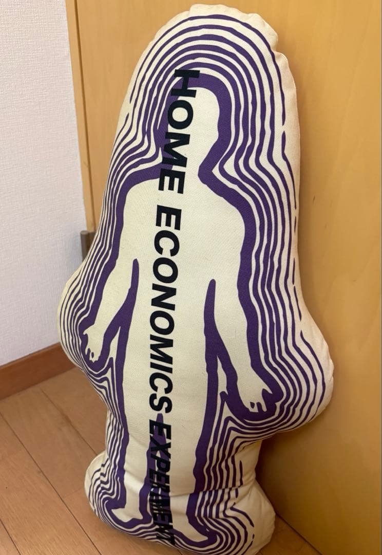  ECONOMICS EXPERIMENT クッション HEE レア