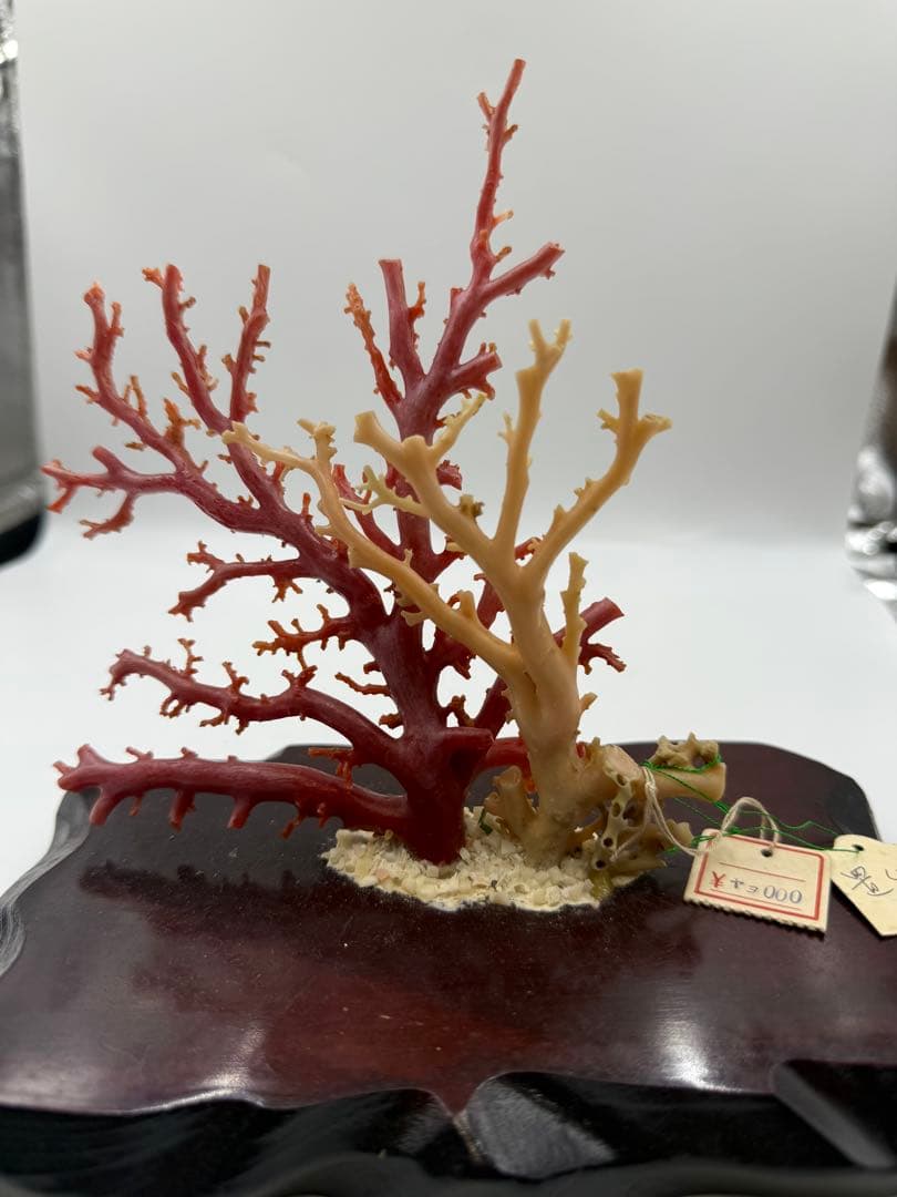 珊瑚の置物