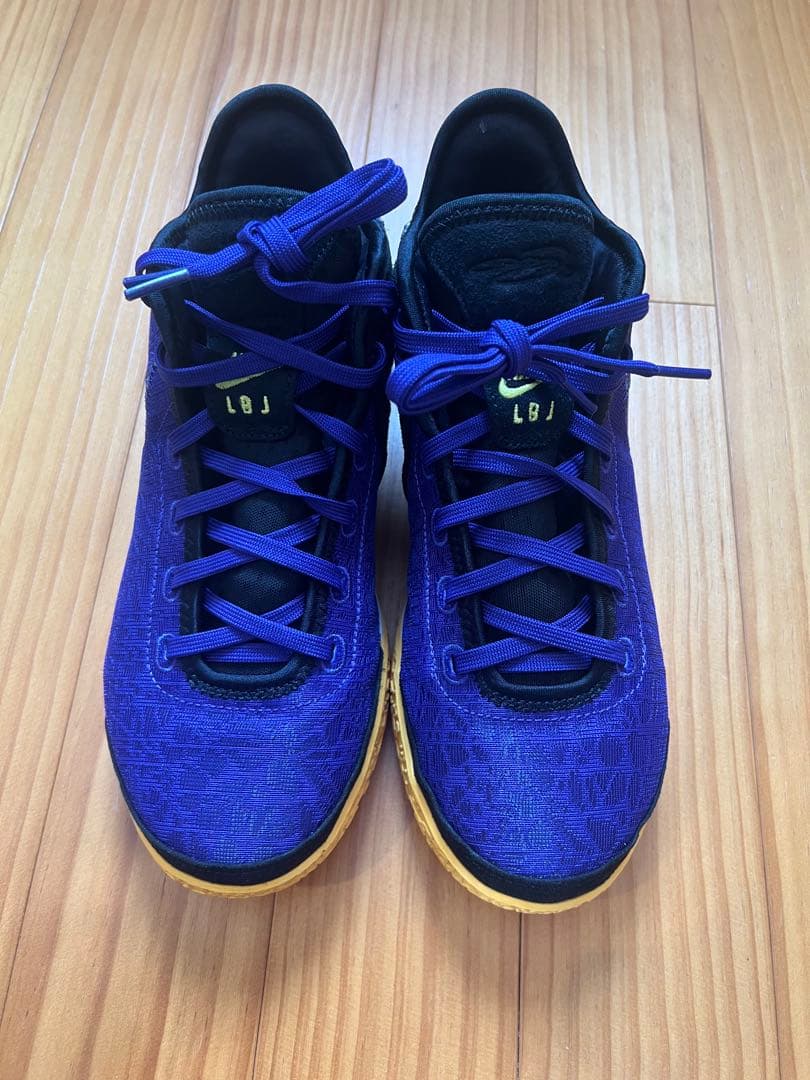 シューズ(男性用) LBJ NXXT GEN 26.5cm