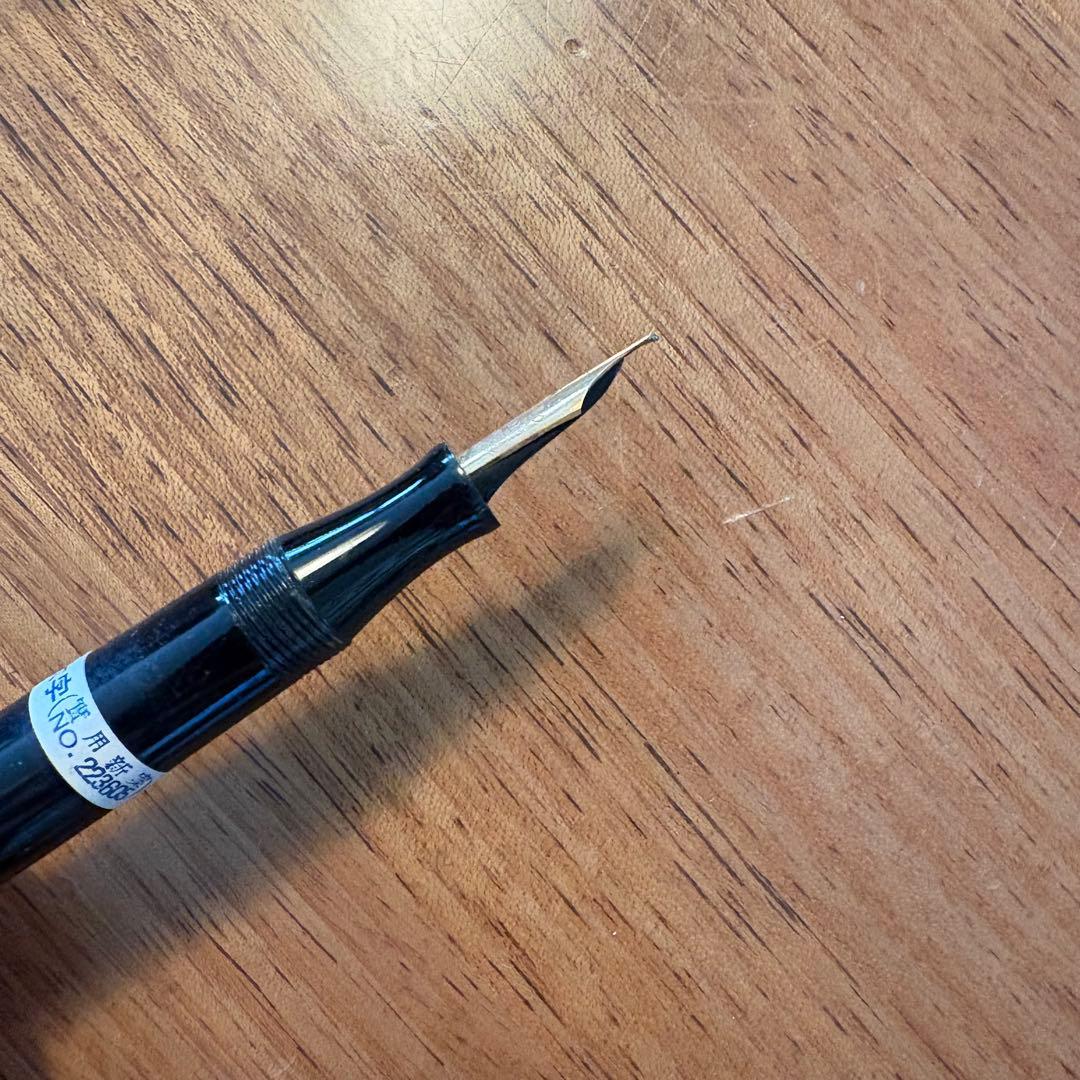 【パンダ】sailor セーラー 万年筆 大正　KG8 箱あり