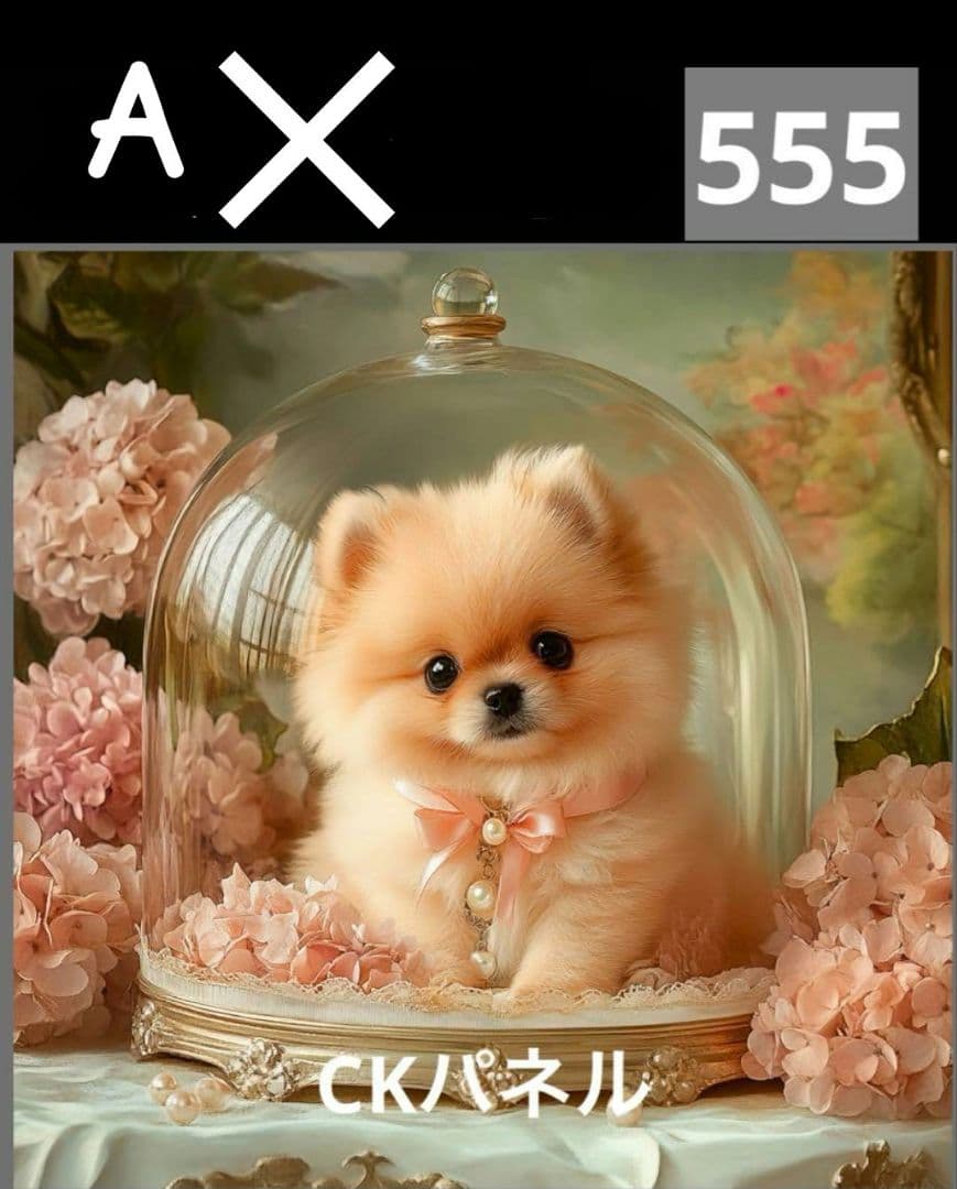 オーダー受付　ポメラニアン　ご予約ページ　10/8