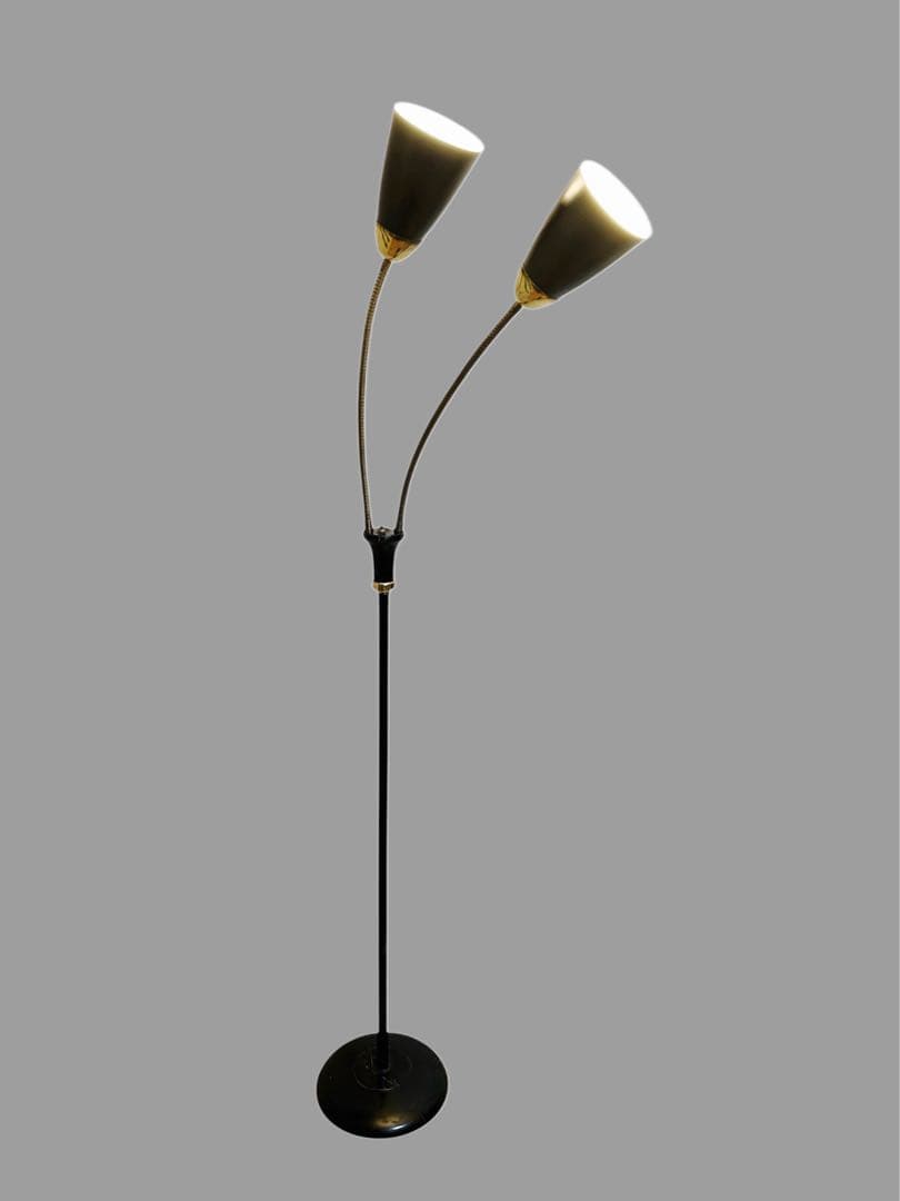 50s ビンテージ 2灯 ツインアーム グースネック フロアランプ ライト