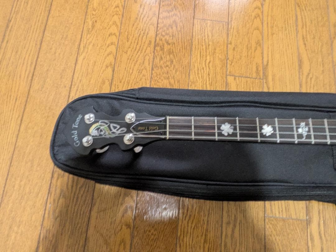 Gold Tone IT-19 Banjo 4弦 アイリッシュバンジョー