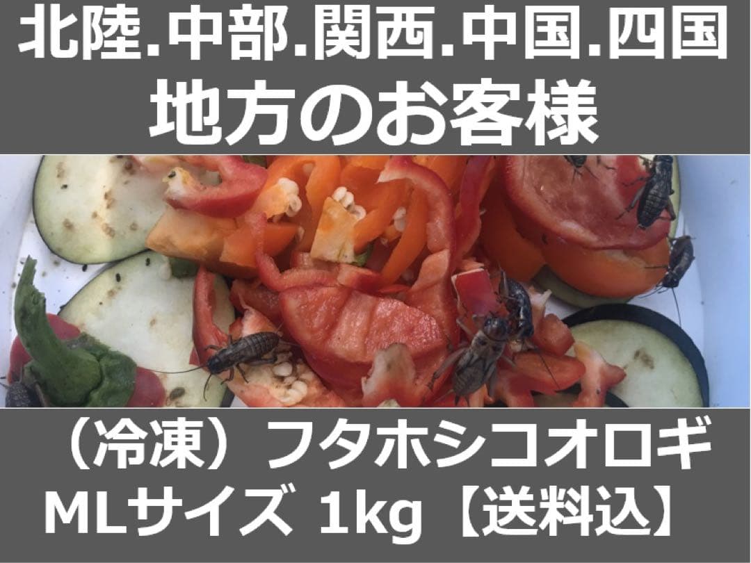 ★ 合鴨なつお君商品★冷凍コオロギ1kg M・Lサイズ　フタホシコオロギ