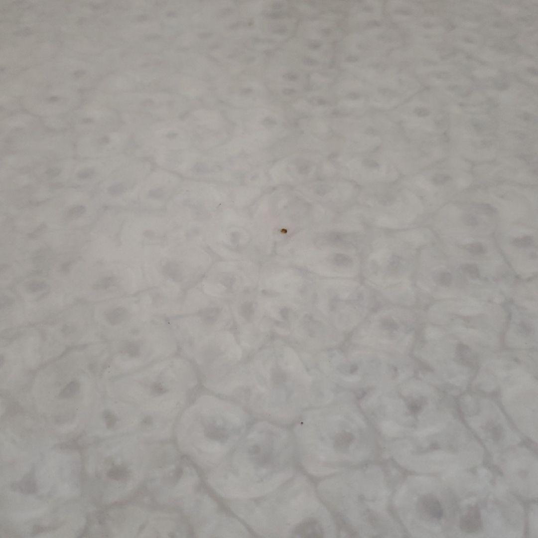 石材？人工？テーブル　静岡市　お値下げ不可