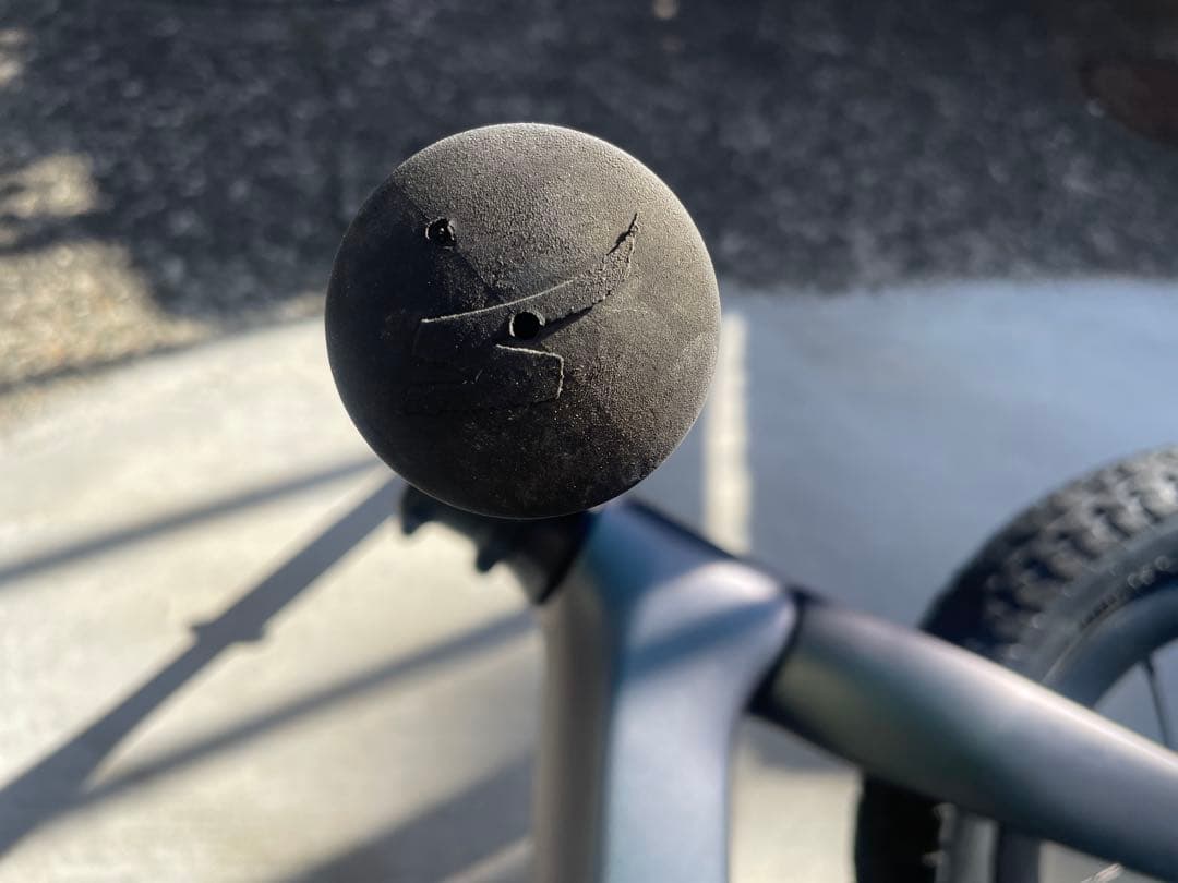 SPECIALIZED HOTWALK CARBON キッズバイク カーボン製