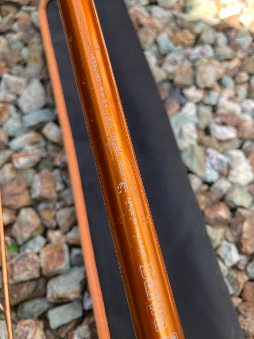 リール Daiwa CAST'IZM 18-295 TOURNAMENT SURF 35