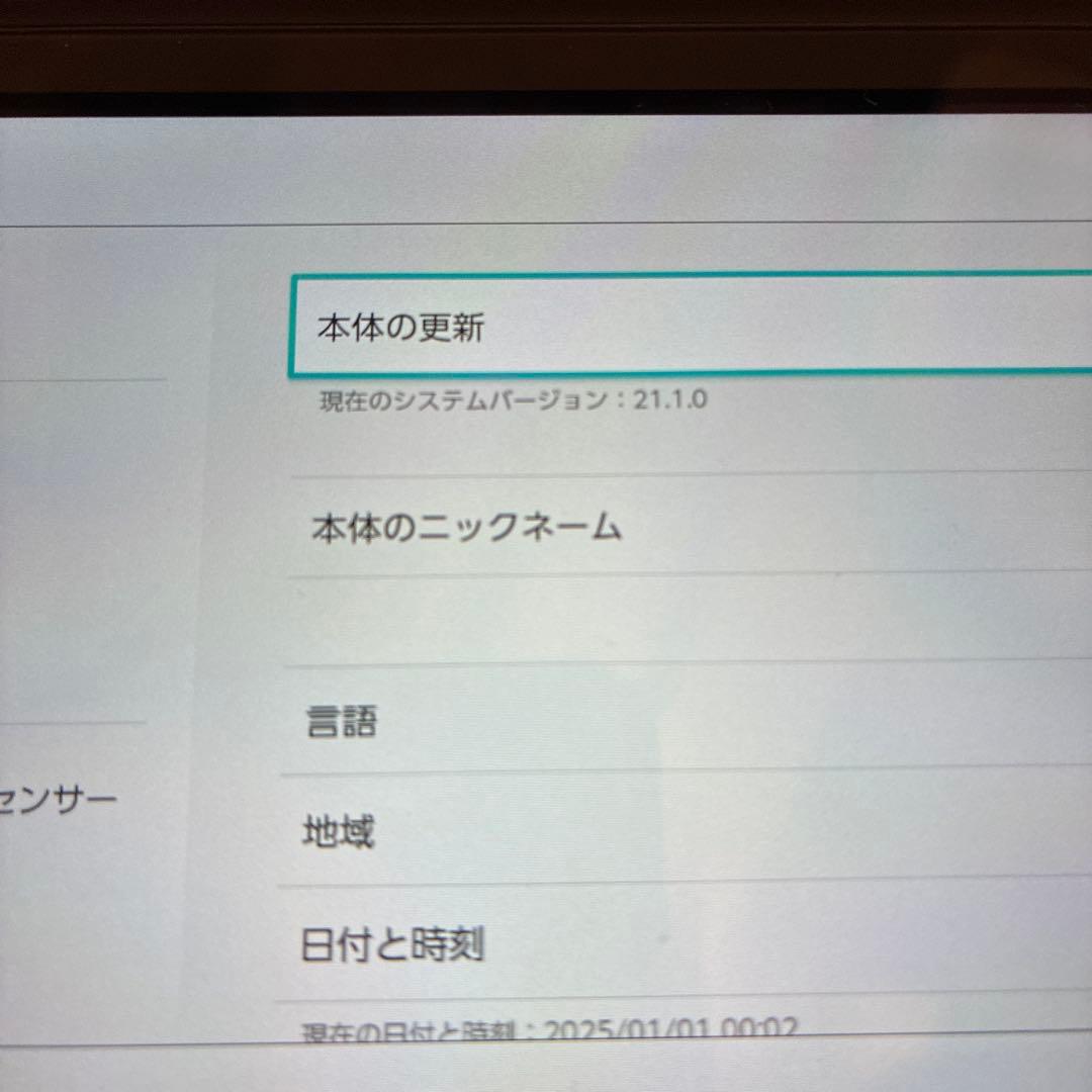 美品 Nintendo Switch Lite グレー