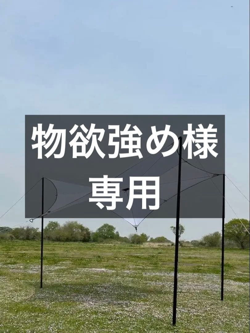 windy and rainy スターライトタープ ホワイト