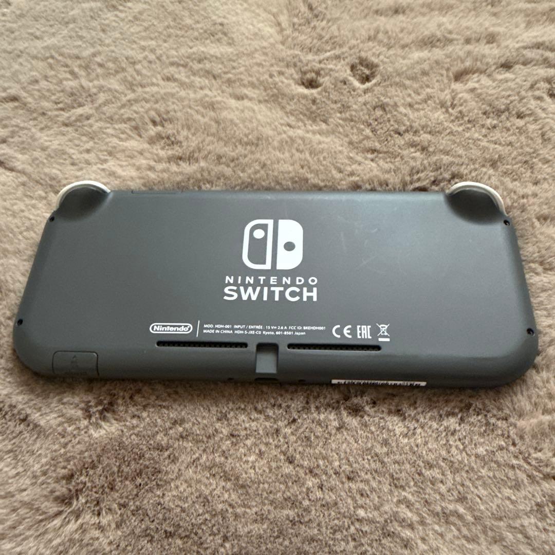 Nintendo Switch Lite 本体 充電器付き