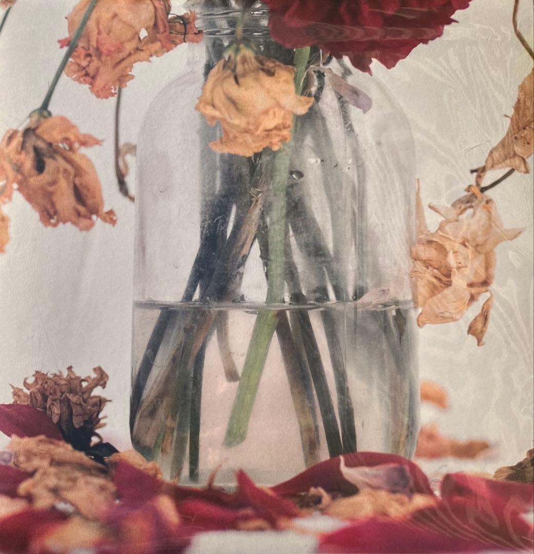 【本日発送】唾奇 レコード Camellia LP (2 vinyl set)