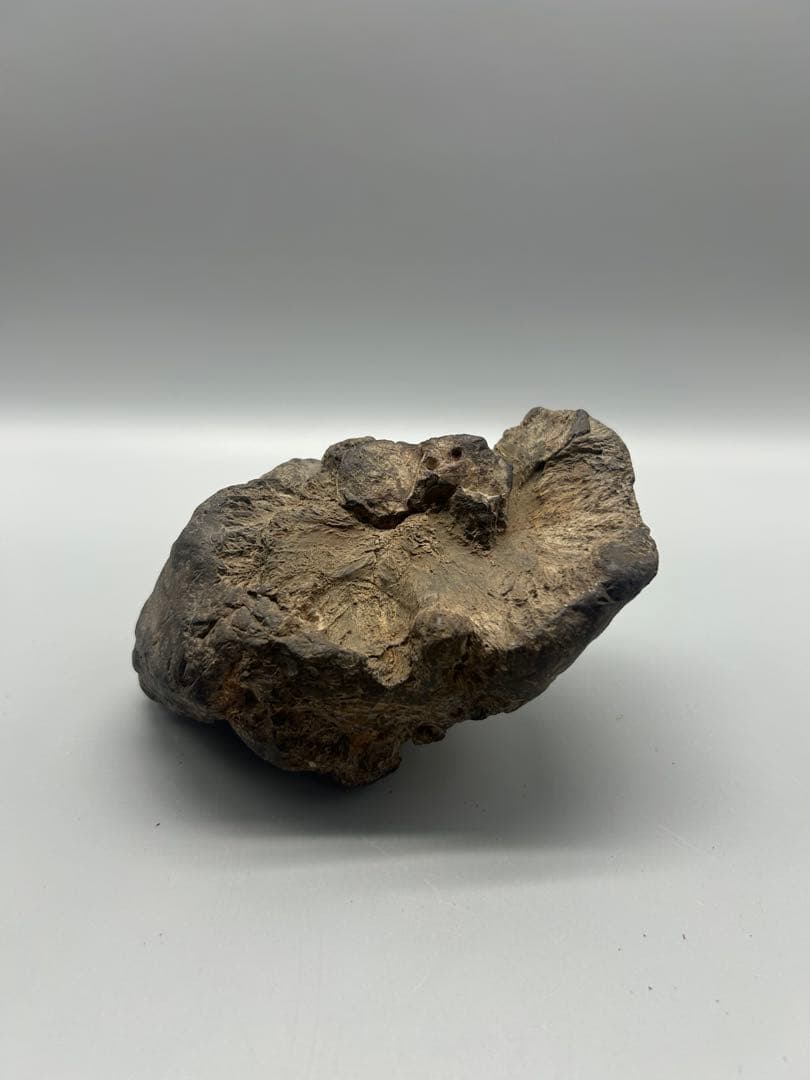 【骨董】鑑賞石