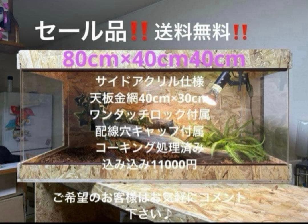 爬虫類ケージ 80×40×40 サイドアクリル　飼育ケージ ケージ 爬虫類
