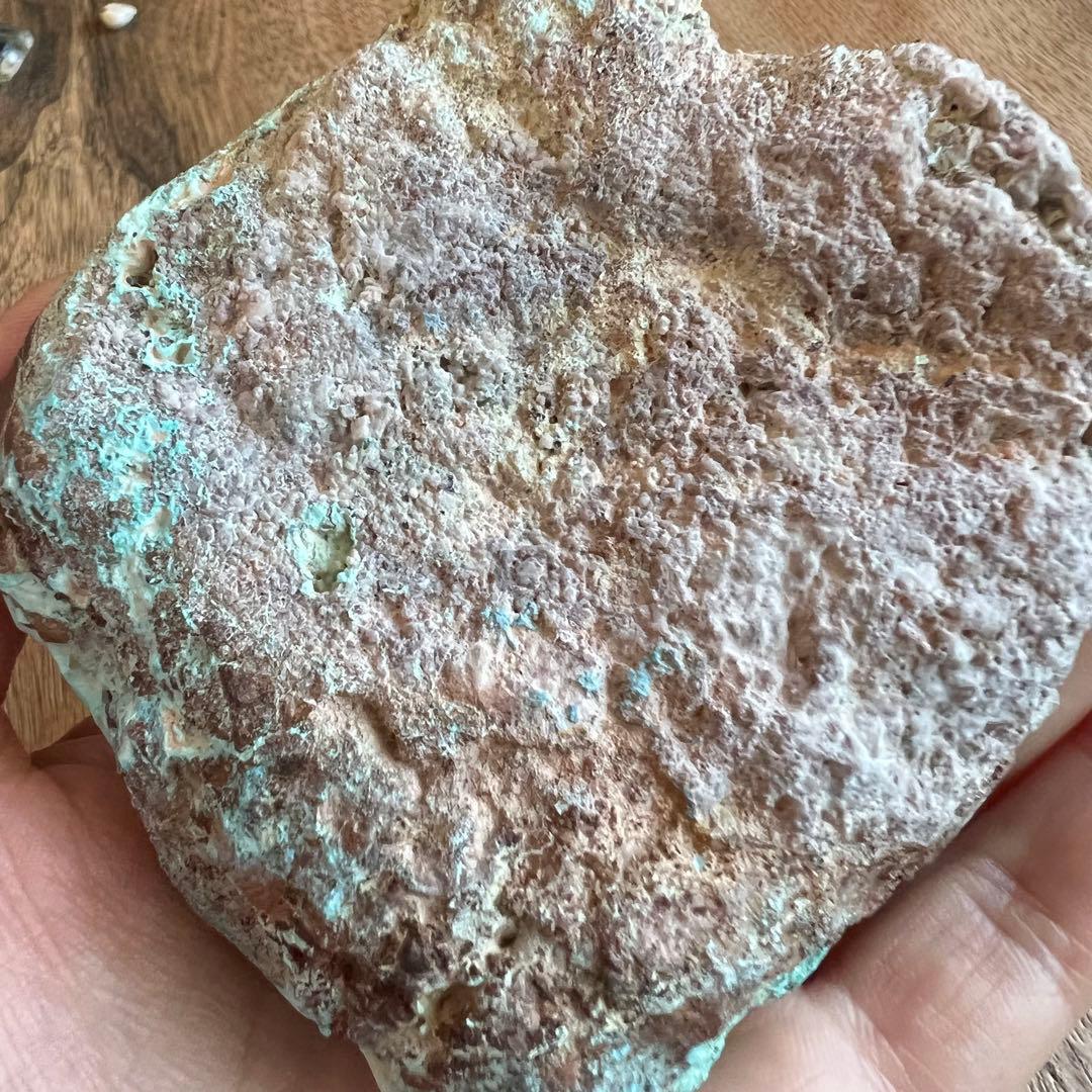 ハイクオリティ ダイオプテーズ クリソコラ 共生 鉱物 標本 原石