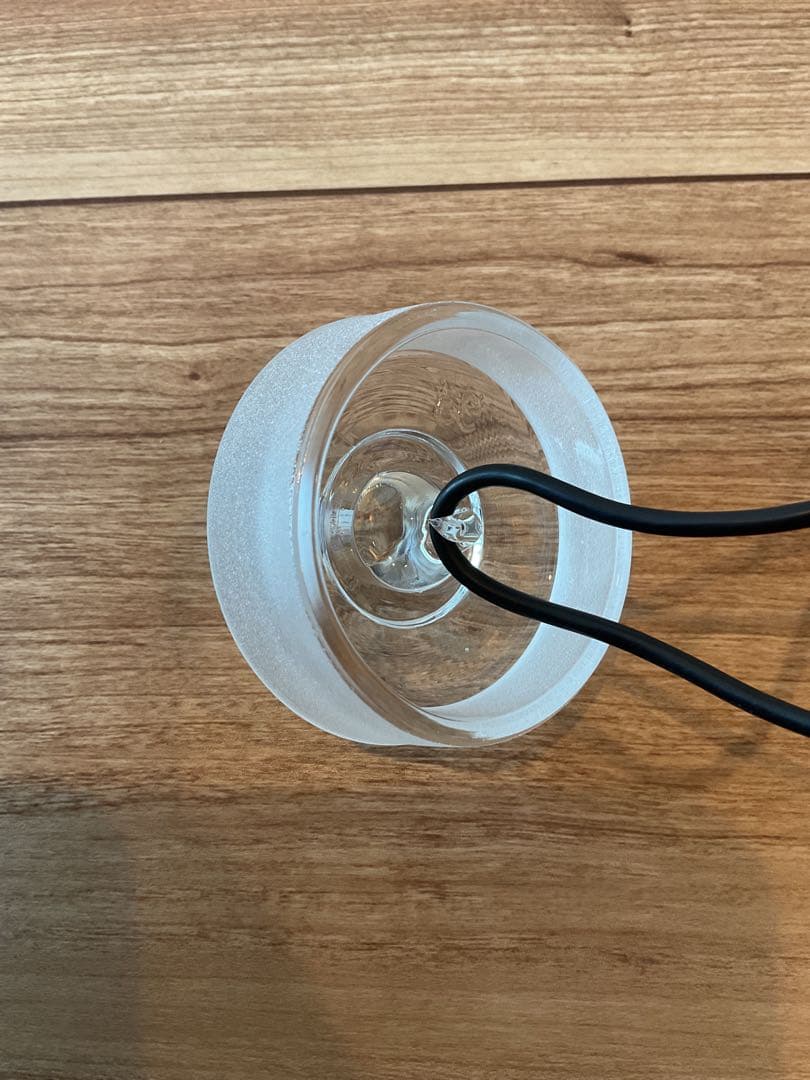 【4本セット】フック付き標本瓶