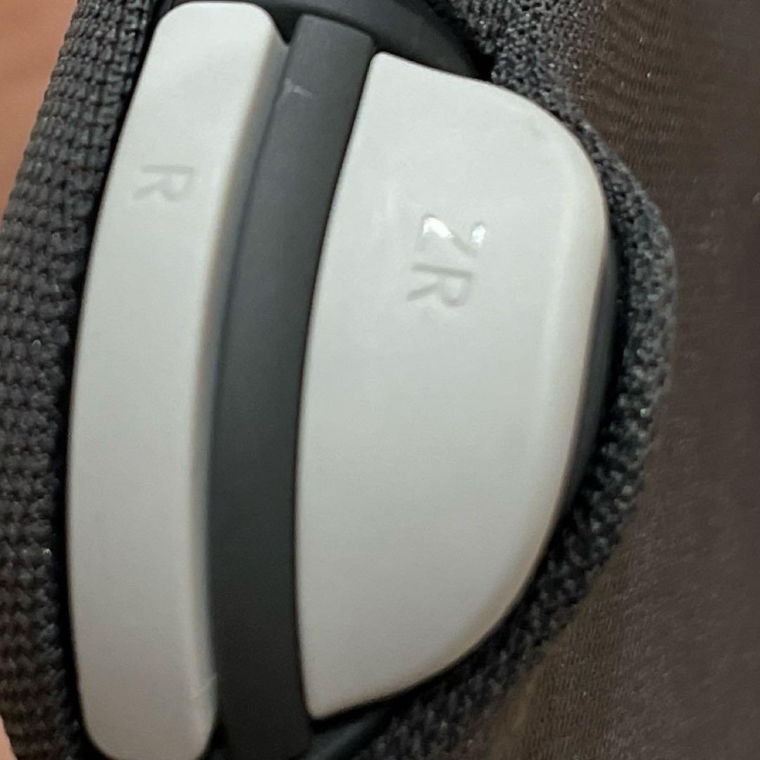 Nintendo Switch Lite グレー 本体（カバー付き）