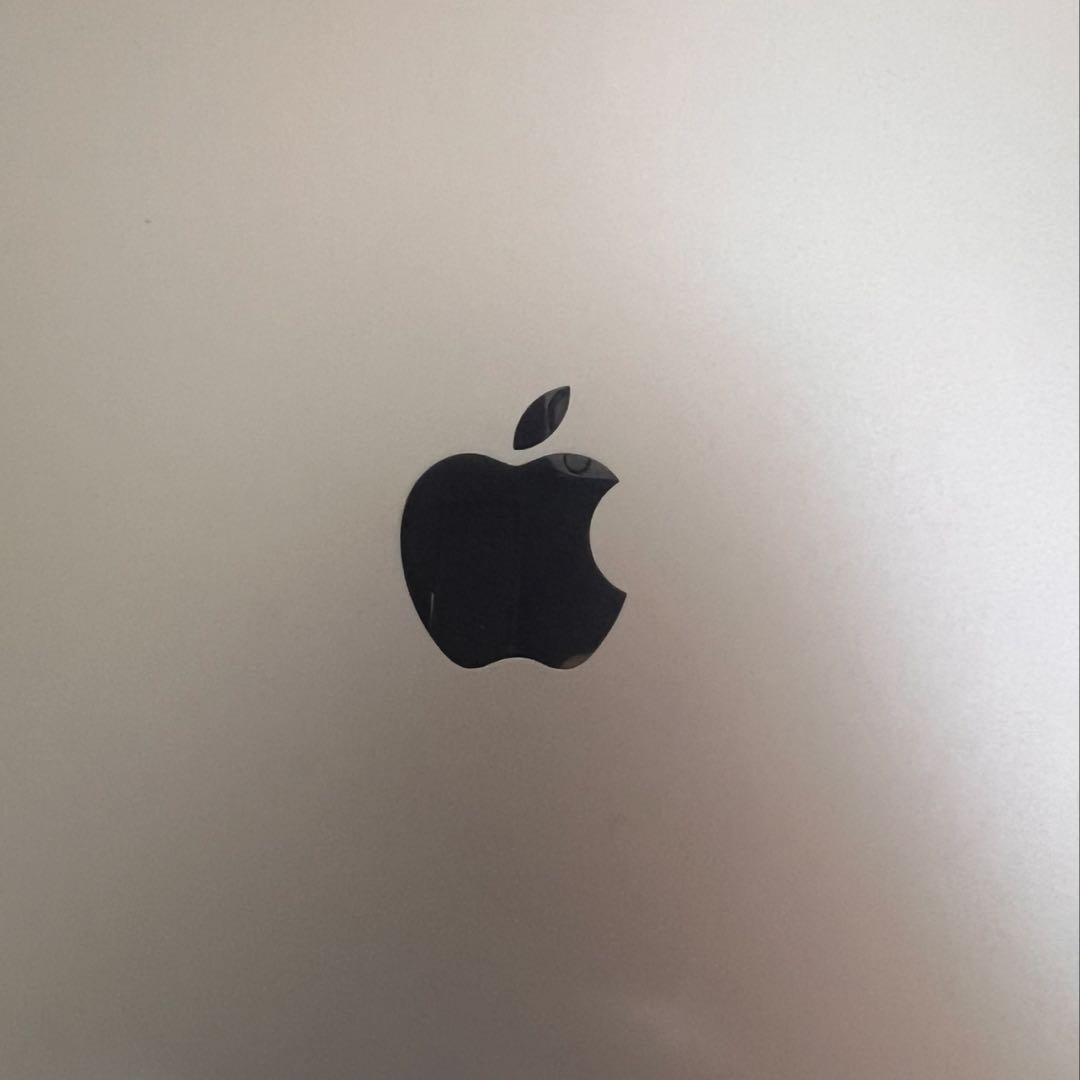 iPad Pro 9.7インチ Wi-Fi 256GB シルバー 動作確認済み