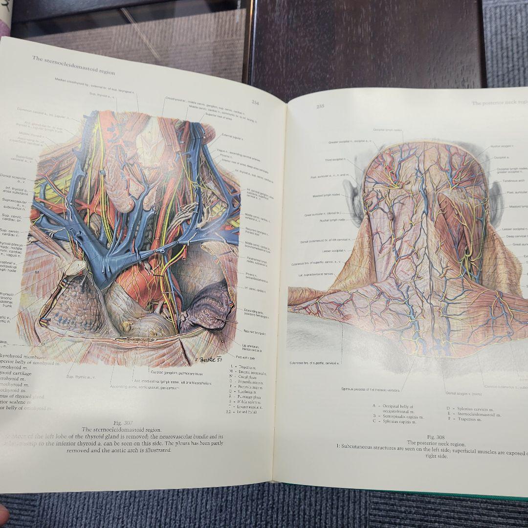 a*d様 ペルンコップ臨床局所解剖学アトラス 第1巻 (頭部・頸部)