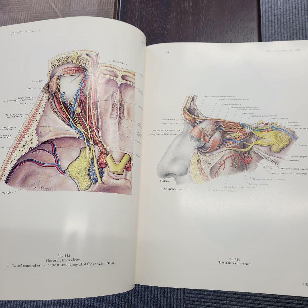 a*d様 ペルンコップ臨床局所解剖学アトラス 第1巻 (頭部・頸部)
